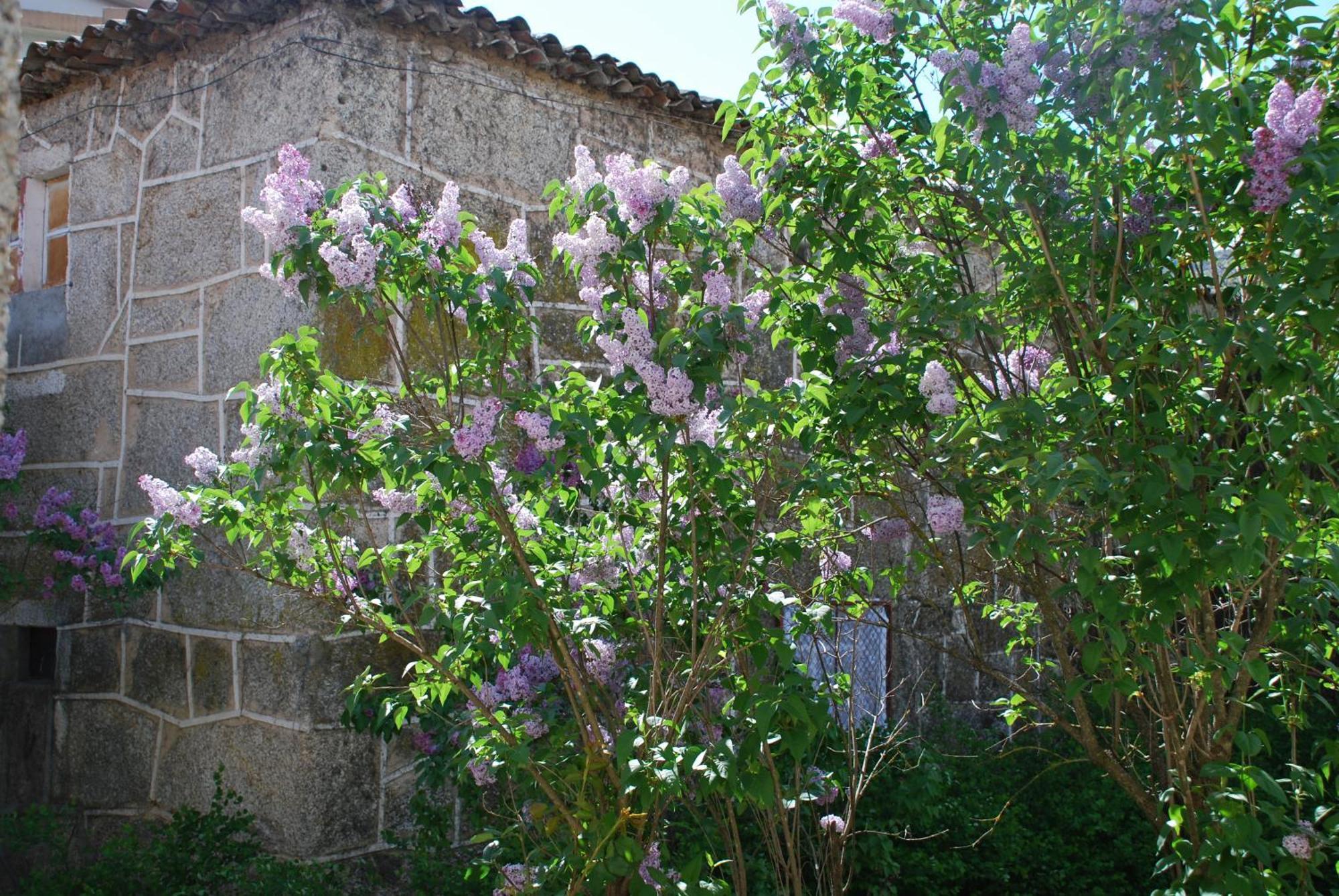 コビリャン Refugio De Calheirosヴィラ エクステリア 写真